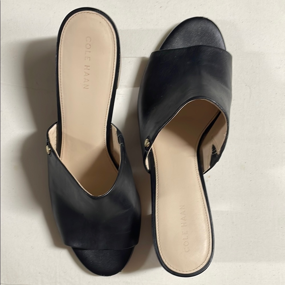 Cole Haan Women's Black Slide Sandals